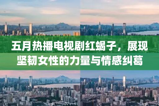 五月热播电视剧红蝎子，展现坚韧女性的力量与情感纠葛
