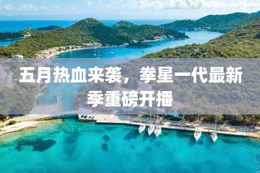 五月热血来袭，拳星一代最新季重磅开播