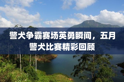 警犬争霸赛场英勇瞬间，五月警犬比赛精彩回顾