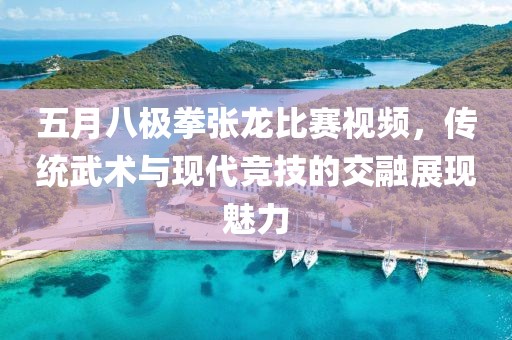 五月八极拳张龙比赛视频，传统武术与现代竞技的交融展现魅力