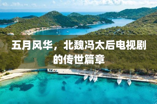 五月风华，北魏冯太后电视剧的传世篇章