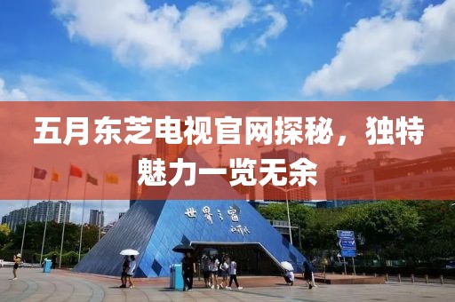 五月东芝电视官网探秘，独特魅力一览无余