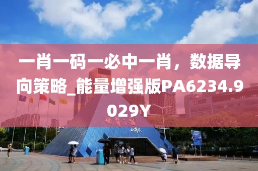 一肖一码一必中一肖，数据导向策略_能量增强版PA6234.9029Y