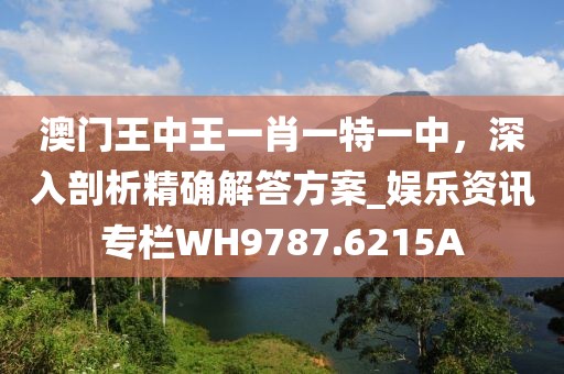 澳门王中王一肖一特一中，深入剖析精确解答方案_娱乐资讯专栏WH9787.6215A