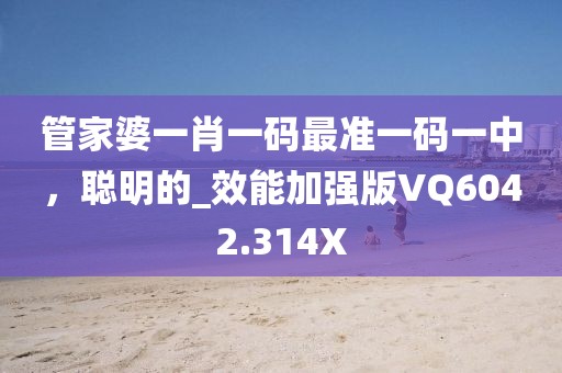 管家婆一肖一码最准一码一中，聪明的_效能加强版VQ6042.314X