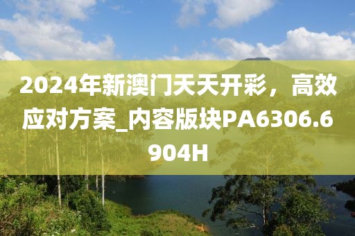 2024年新澳门天天开彩，高效应对方案_内容版块PA6306.6904H