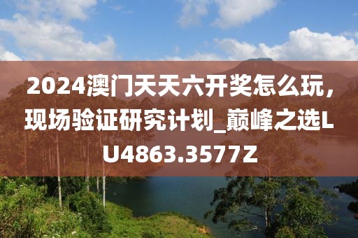 2024澳门天天六开奖怎么玩，现场验证研究计划_巅峰之选LU4863.3577Z