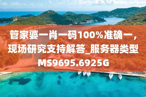 管家婆一肖一码100%准确一，现场研究支持解答_服务器类型MS9695.6925G