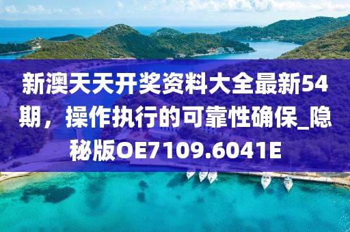 新澳天天开奖资料大全最新54期，操作执行的可靠性确保_隐秘版OE7109.6041E