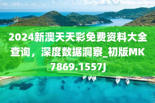 2024新澳天天彩免费资料大全查询，深度数据洞察_初版MK7869.1557J