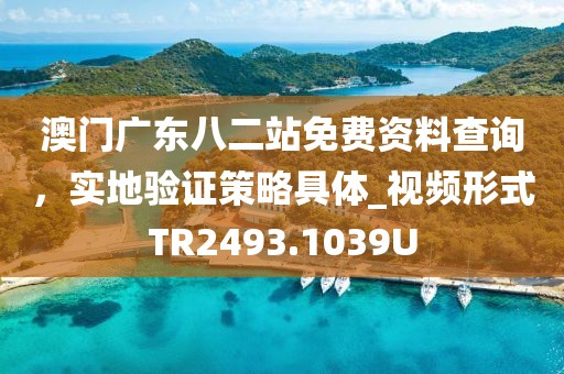 澳门广东八二站免费资料查询，实地验证策略具体_视频形式TR2493.1039U
