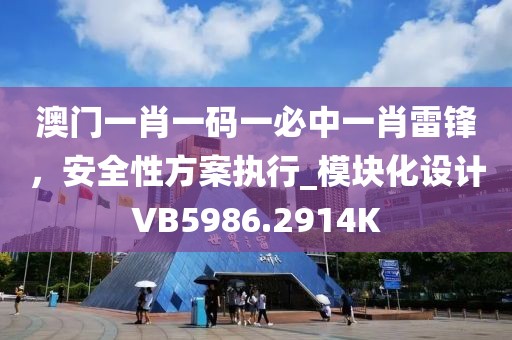 澳门一肖一码一必中一肖雷锋，安全性方案执行_模块化设计VB5986.2914K