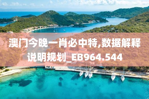 澳门今晚一肖必中特,数据解释说明规划_EB964.544