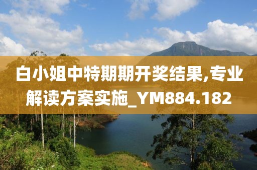 白小姐中特期期开奖结果,专业解读方案实施_YM884.182
