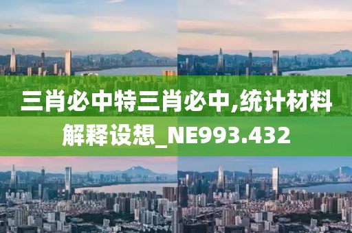 三肖必中特三肖必中,统计材料解释设想_NE993.432