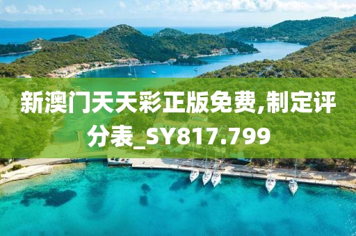 新澳门天天彩正版免费,制定评分表_SY817.799