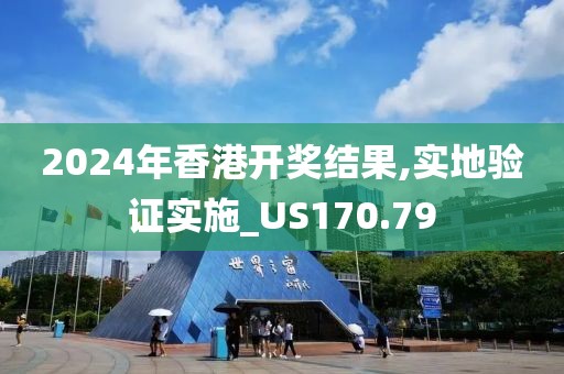 2024年香港开奖结果,实地验证实施_US170.79