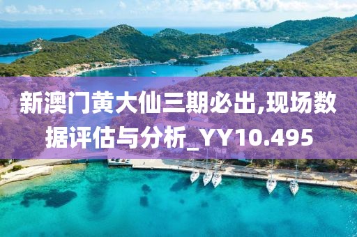 新澳门黄大仙三期必出,现场数据评估与分析_YY10.495