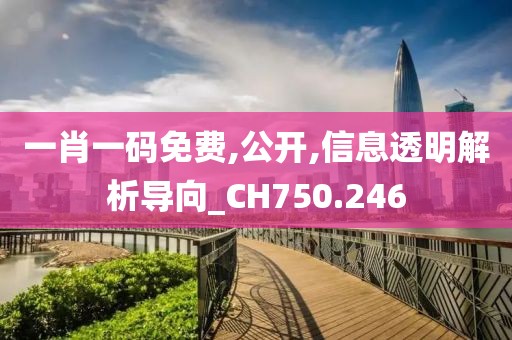 一肖一码免费,公开,信息透明解析导向_CH750.246