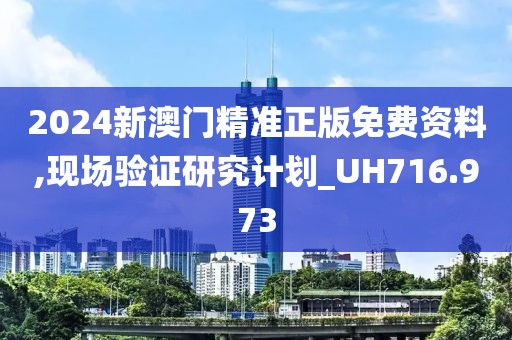 2024新澳门精准正版免费资料,现场验证研究计划_UH716.973