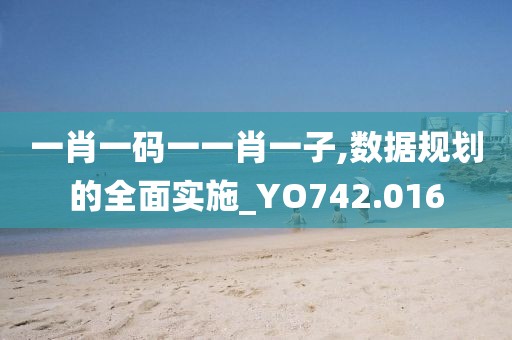 一肖一码一一肖一子,数据规划的全面实施_YO742.016
