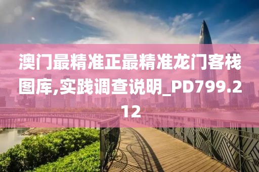 澳门最精准正最精准龙门客栈图库,实践调查说明_PD799.212