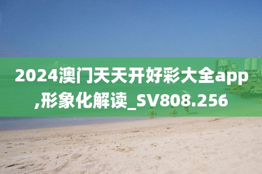 2024澳门天天开好彩大全app,形象化解读_SV808.256