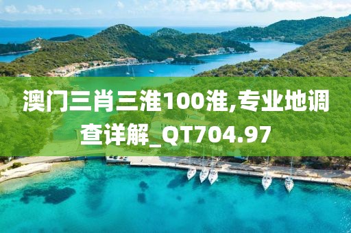 澳门三肖三淮100淮,专业地调查详解_QT704.97