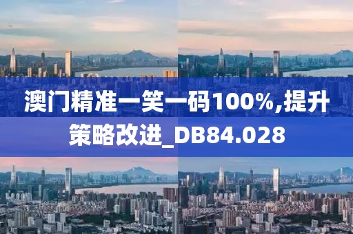 澳门精准一笑一码100%,提升策略改进_DB84.028