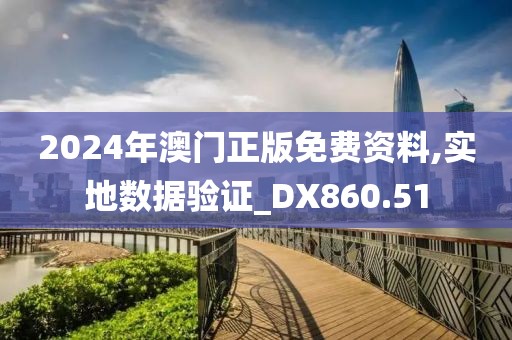 2024年澳门正版免费资料,实地数据验证_DX860.51