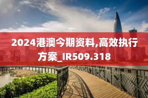 2024港澳今期资料,高效执行方案_IR509.318