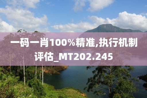 一码一肖100%精准,执行机制评估_MT202.245
