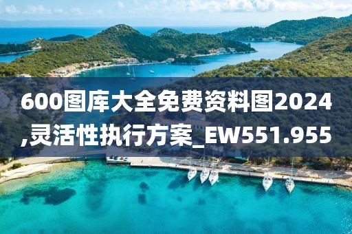 600图库大全免费资料图2024,灵活性执行方案_EW551.955