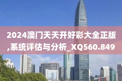 2024澳门天天开好彩大全正版,系统评估与分析_XQ560.849