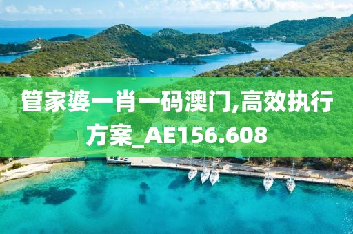 管家婆一肖一码澳门,高效执行方案_AE156.608