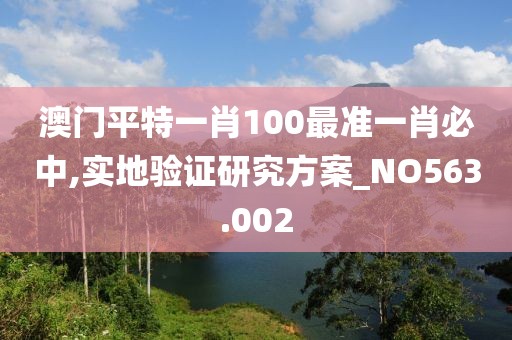 澳门平特一肖100最准一肖必中,实地验证研究方案_NO563.002