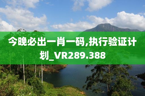 今晚必出一肖一码,执行验证计划_VR289.388