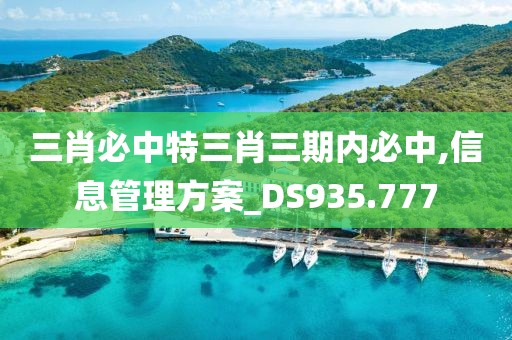 三肖必中特三肖三期内必中,信息管理方案_DS935.777