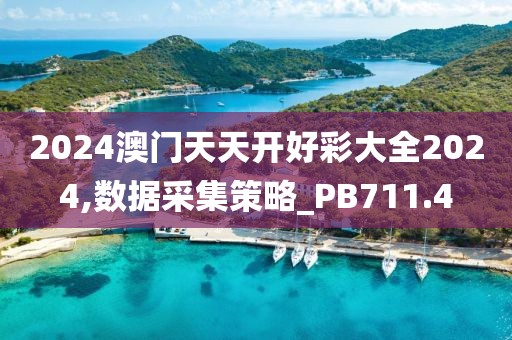 2024澳门天天开好彩大全2024,数据采集策略_PB711.4