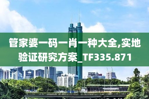 管家婆一码一肖一种大全,实地验证研究方案_TF335.871