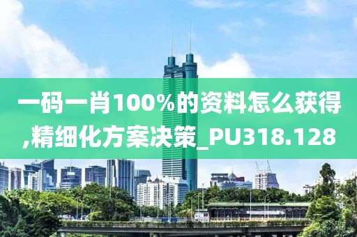 一码一肖100%的资料怎么获得,精细化方案决策_PU318.128