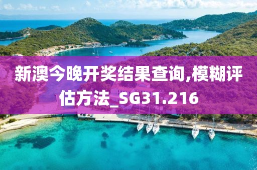 新澳今晚开奖结果查询,模糊评估方法_SG31.216