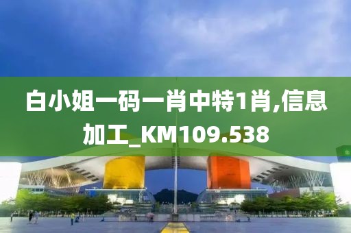 白小姐一码一肖中特1肖,信息加工_KM109.538