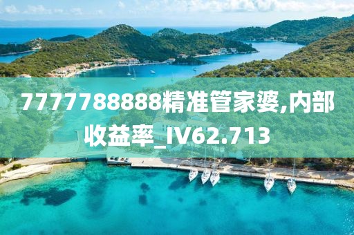 7777788888精准管家婆,内部收益率_IV62.713