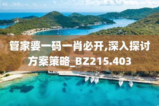 管家婆一码一肖必开,深入探讨方案策略_BZ215.403