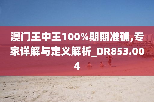 澳门王中王100%期期准确,专家详解与定义解析_DR853.004