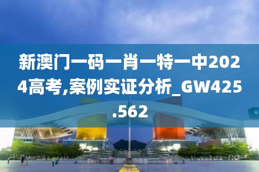 新澳门一码一肖一特一中2024高考,案例实证分析_GW425.562