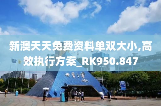 新澳天天免费资料单双大小,高效执行方案_RK950.847