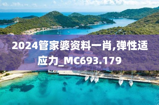 2024管家婆资料一肖,弹性适应力_MC693.179
