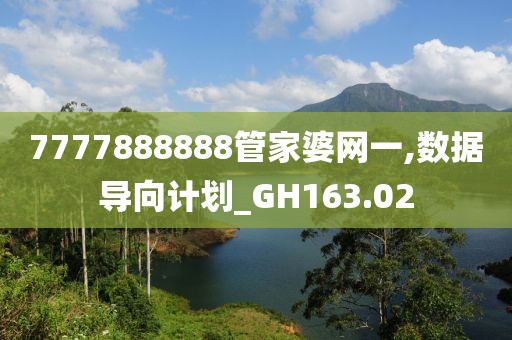 7777888888管家婆网一,数据导向计划_GH163.02